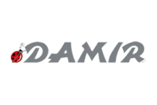Damir
